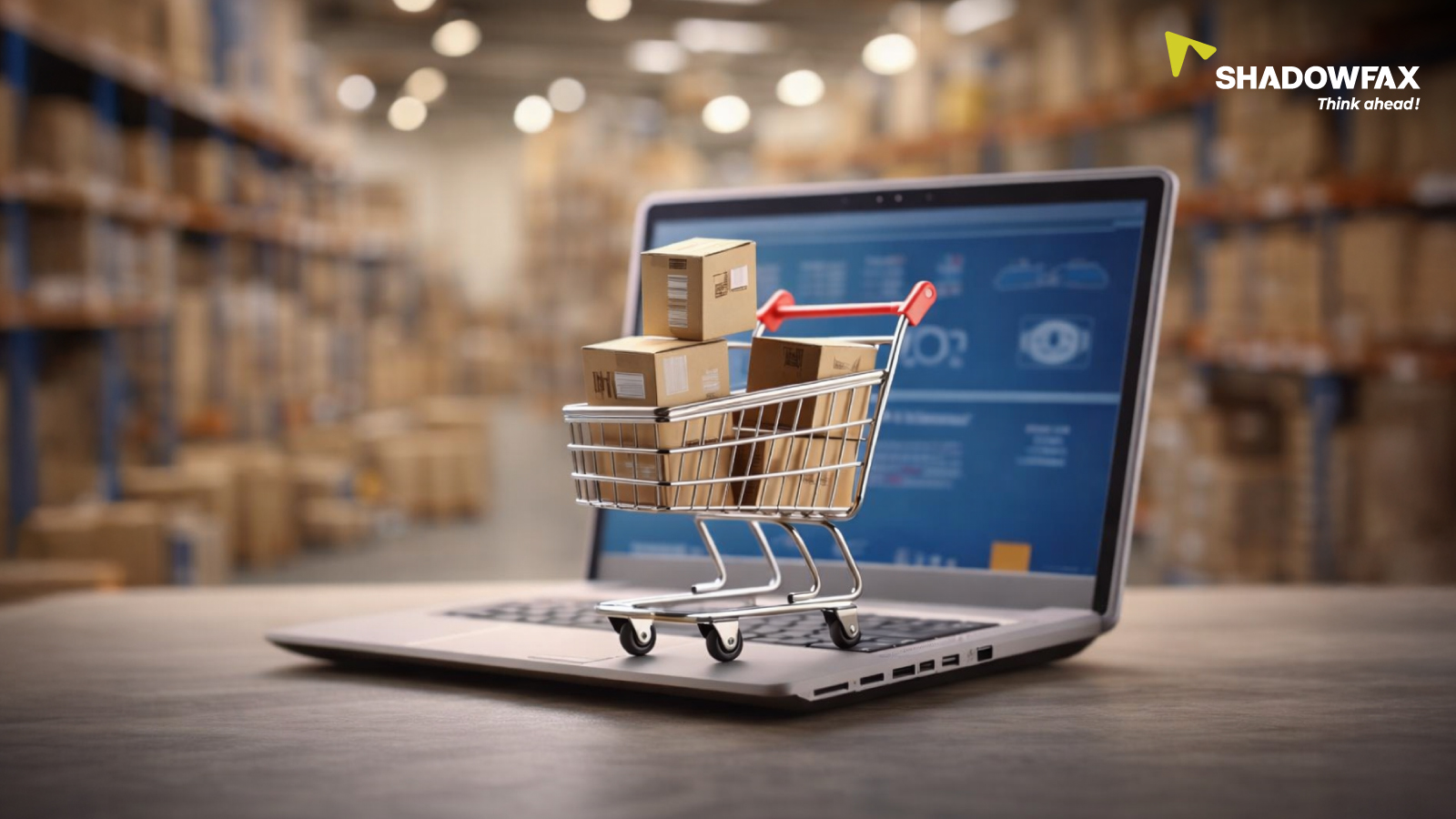E-commerce Scale-up Strategy